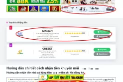 Thuê Quảng Cáo Banner